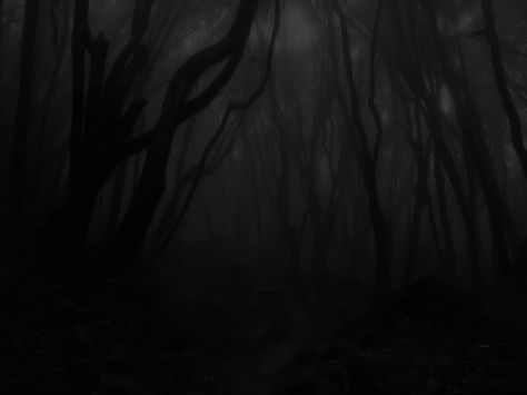 Most people would not appreciate this because it is so dark. You need to jump into the image and lose yourself. Look at it closely. Shadow Realm, Shadow Monster, Haunted Forest, Evil World, Fantasy Aesthetic, The Shadows, Dark Forest, Dark Aesthetic, Spreads