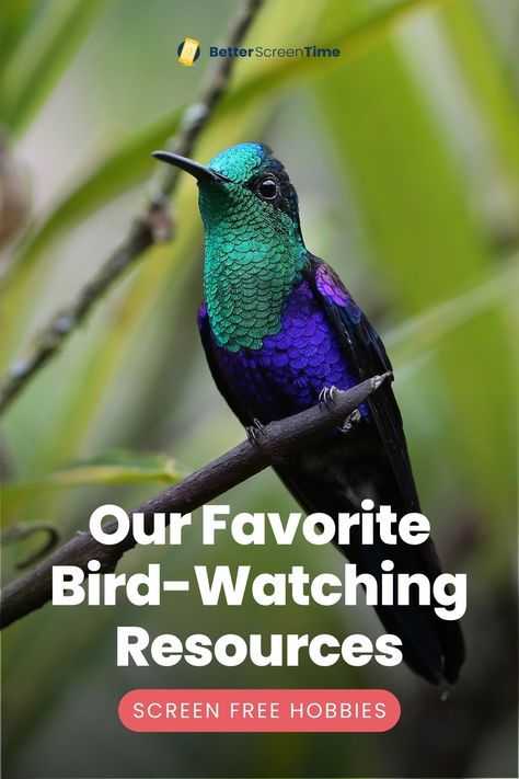 A beautiful bird perched on a branch with the words "Our Favorite Bird-Watching Resources: Screen Free Hobbies" Free Hobbies, Free Activities For Kids, Hobbies For Kids, Screen Free Activities, Screen Free, Field Guide, Screen Time, Educational Activities, Bird Watching