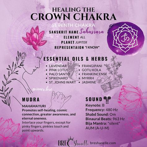 Bre Hutchins’s Instagram photo: “TODAY I AFFIRM: My Crown Chakra is open & receptive, creating a gateway to the spiritual realm. I raise my vibration to the frequency of…” Raise My Vibration, Chakra Guide, Lightworker Quotes, Hand Yoga, Divine Consciousness, Witchy Business, Kundalini Reiki, Sacral Chakra Healing, Chakra Chart