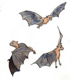 Batties Bats Art, Bat Drawing, Bat Art, Bat Tattoo, Have A Wonderful Weekend, Kings Cross, Kite Flying, Boat Trip, Love Boat