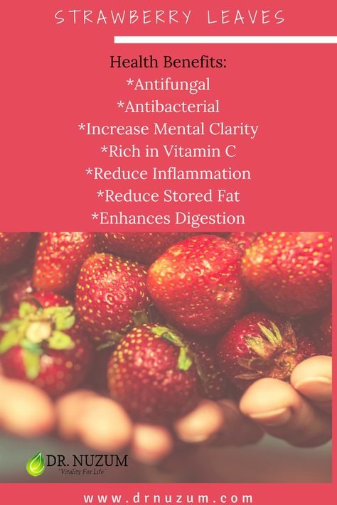 Did you know the SUPER #Health Benefits of #Strawberry leaves? Don't ever throw them away! Make a #smoothie or a #salad. #strawberryleaves Strawberry Leaf Benefits, Strawberry Leaves Benefits, Strawberry Leaf Tea, Garden Vegetable Recipes, Strawberry Social, Strawberry Health Benefits, Leaf Health, Medical Plants, Strawberry Leaf