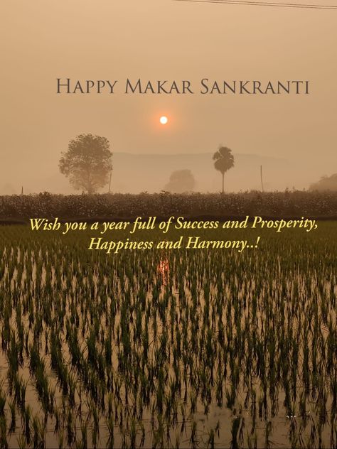 🌄🌾🌱 HAPPY Makar Sankranti ☘️🌿🍀 Wish you a year full of Success and Prosperity, Happiness and Harmony..! #this #Makar Sankranti, #success. #Wish #you #a #year #full #of #Success #and #Prosperity #Happiness and #Harmony..! # Sunrise photography #Landscape #nature photography #Farmers 📌 January 15, 2023. Makar Sankranti Photography, Photography Landscape Nature, Food Captions, Happy Makar Sankranti, Festivals Of India, Makar Sankranti, Good Morning Wishes Quotes, Morning Wishes Quotes, Photography Landscape