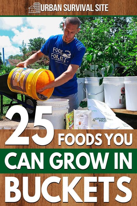 Not only is bucket gardening a great solution for people with limited space, it has many advantages over traditional gardening. Gemüseanbau In Kübeln, Growing Vegetables In Pots, Bucket Gardening, Vegetable Garden Diy, Garden Idea, Garden Veggies, Veg Garden, Plant Ideas, Home Vegetable Garden