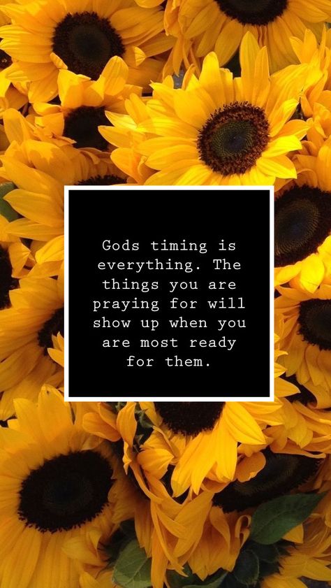 Brand Shoots, Sunny Flowers, Watch Background, Sunflower Quotes, Positive Quotes Wallpaper, Prayer Closet, Christian Quotes Wallpaper, Fun Sayings, Bible Verse Background