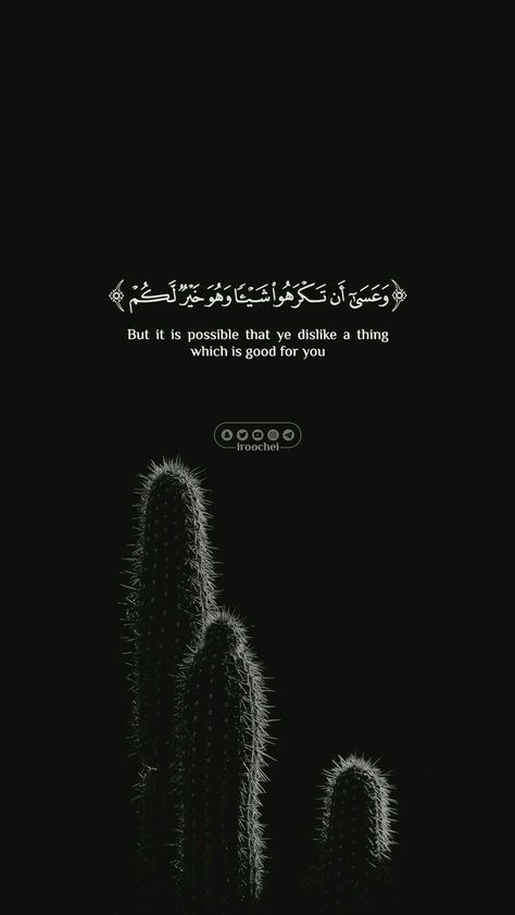 Coran Quotes, Arabic Quote, Religion Quotes, Ayat Quran, Pray Quotes, Ayat Al-quran, Muslim Love Quotes, Hadith Quotes, Beautiful Quran Quotes