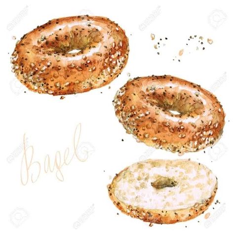 Bagel Illustration, Bagel Bakery, Bread Shop, Cafe Art, Everything Bagel, Painting Lessons, Food Drawing, Detail Art, Photo Images