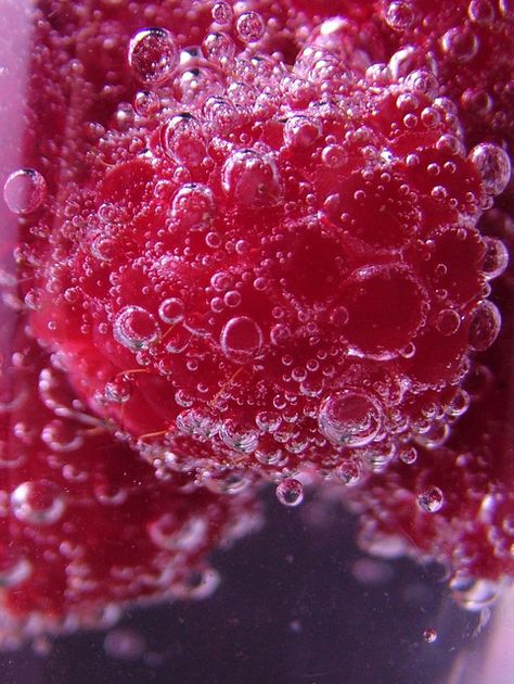 Raspberries in carbonated water. Taken in my college's photography studio. #raspberry #water #fizzy Fizzy Aesthetic, Raspberry Water, Fizzy Water, Bubble Photography, Social Background, Underwater Bubbles, Bubbles Photography, Photography Sketchbook, White Claw