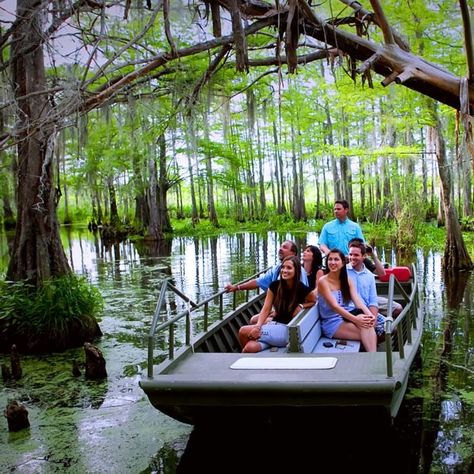 While Cajun Encounters offers several different types of tours, their swamp tours are always always a big hit. New Orleans Swamp Tour, Louisiana Vacation, Slidell Louisiana, Swamp Tours, New Orleans Vacation, New Orleans Trip, Louisiana Travel, Southern States, New Orleans Travel