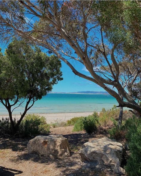 Port Lincoln & Eyre Peninsula on Instagram: “Coffin Bay National Park 📷 photo by @lakeishatogafau #coffinbay #coffinbaynationalpark #eyrepeninsula #seesouthaustralia #seeaustralia…” Port Lincoln South Australia, Eyre Peninsula, Aussie Summer, Port Lincoln, Beautiful Australia, Ocean Island, National Park Photos, Dream Board, South Australia