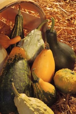 A stack of gourds makes an eye-catching decoration inside your home or outside in the yard. Fresh, uncured gourds may last for a few weeks before going bad. If you dry and preserve your gourds, though, they'll last for many years. After you've preserved the gourds, get creative by painting or drawing your own designs on the shell. Drying Gourds, How To Dry Gourds, Gourds Diy, Fall Gourds, Gourd Crafts, Pumpkin Squash, Easy Fall Decor, Gourds Birdhouse, Decorative Gourds