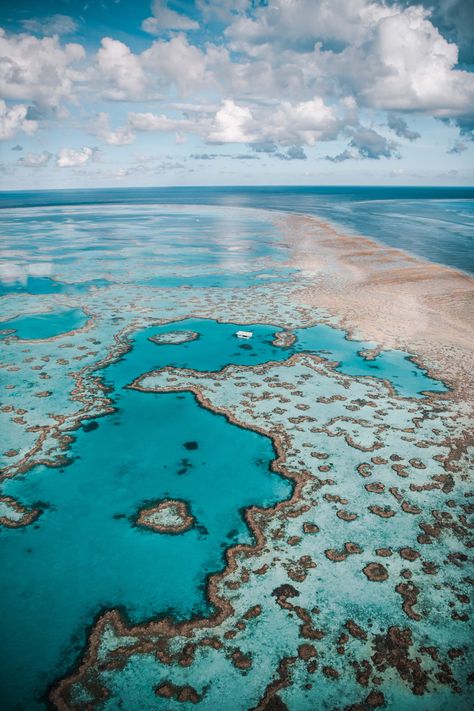 Heart Island, Great Barrier Reef Australia, Barrier Reef Australia, Hamilton Island, Australia Travel Guide, Australian Travel, Helicopter Ride, The Great Barrier Reef, Visit Australia