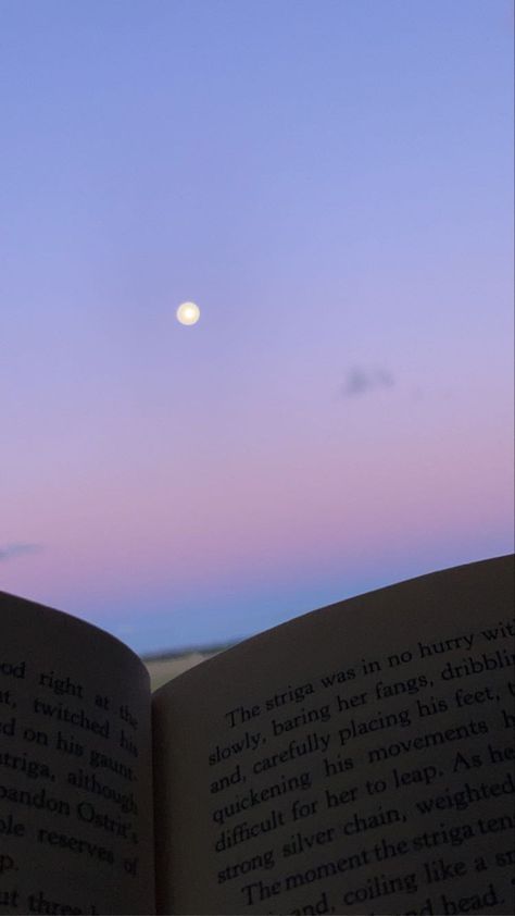 #sunset #books #reading #moon #aesthetic Summer Child, Moon Aesthetic, Book Reading, Books Reading, Reading Book, Summer Kids, Books To Read, Moon, Reading