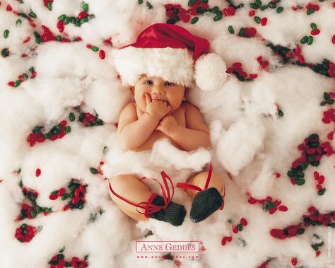 33 Absolutely Cute Babies And Their First Christmas Photo shoot Wallpapers Desktop Hd, Newborn Christmas Pictures, Wallpapers Cars, Baby Christmas Photography, Hd Wallpapers 3d, Christmas Baby Pictures, Baby Christmas Photos, First Christmas Photos, Anne Geddes