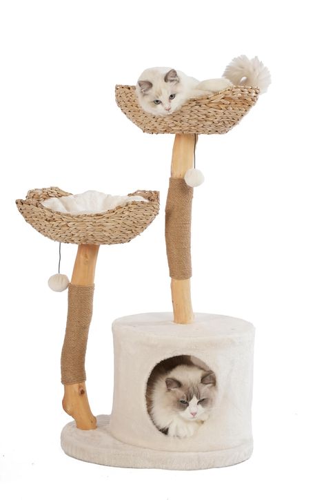 PRICES MAY VARY. Twice The Comfort: With two spacious baskets, our modern cat tree will have your feline friends lounging and napping in exceptional comfort, making it the purrfect sanctuary Nature-Inspired: Crafted from polished all-natural tree trunks, this wood cat tower is a beautiful work of art that is made to stand the test of time. Its alluring aesthetic adds rustic charm to your home Scratching Paradise: Shredded furniture? Not with our white cat tree! Wrapped with thick sisal ropes, th Modern Cat Tower, Alluring Aesthetic, Modern Baskets, Modern Cat Tree, Natural Tree, Sisal Rope, Wood Cat, Tree Trunks, Modern Cat