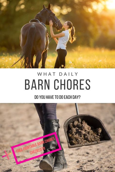 What barn chores have to be done each day?  Also get your own FREE printable barn chores checklist! Chores Checklist, Horse Ownership, Barn Hacks, Chore Checklist, Horse Care Tips, Horse Info, Horse Riding Tips, Equestrian Helmet, Horse Tips