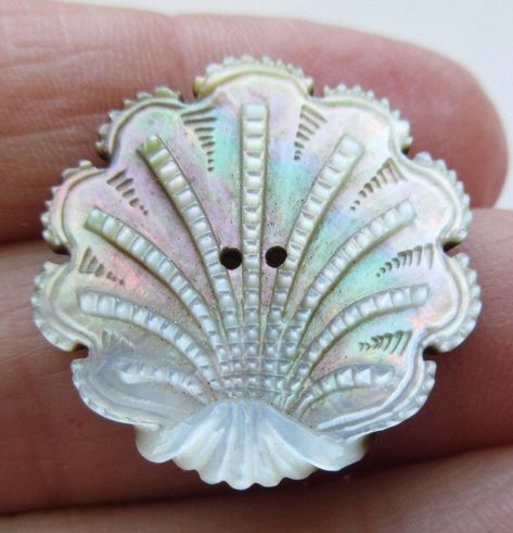 Breathtaking Antique Victorian Carved MOP Shell BUTTON Intricate Seashell (C27) Mop Buttons, Button Collecting, Shell Jewellery, Tropical Bathroom, Button Craft, Buttons For Sale, Cool Buttons, Vintage Sewing Machines, Art Carved