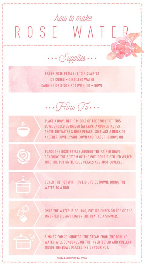 SugarandCharm_HowToMakeRoseWater Rose Water Recipe, Make Rose Water, Natural Skin Toner, Fresh Rose Petals, How To Make Rose, Natural Therapy, Skin Toner, Natural Beauty Tips, Clean Face