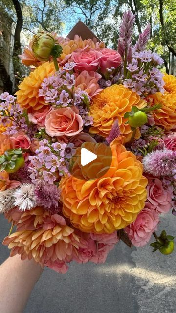 Rachel on Instagram: "Mums ($4.99) / wax flowers ($4.99) / dahlias ($5.99) / celosia ($3.99) / spray roses (5.99)
#traderjoesflowers #diybouquet #fallflowers" Wax Flower Arrangement, Celosia Flower, Wax Flower, Dragons Breath, Wax Flowers, Spray Roses, Diy Bouquet, Fall Flowers, Cut Flowers