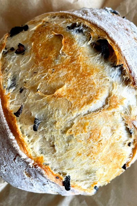 Crusty, chewy and deliciously seasoned with oregano, this super simple overnight bake pairs perfectly with rich, tomato-based pasta sauces and hearty soups. | #bread #olives #artisanbread #homemadebread #evoo #oregano #yeastbread #easybreadrecipe #artisanbreads #olivebread Olive Bread, Artisan Bread Recipes, Best Bread Recipe, Pasta Sauces, No Knead Bread, Savory Soups, No Knead, Easy Bread Recipes, Fresh Bread