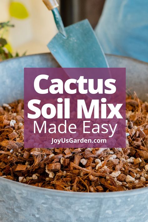 Cactus Mix Potting Soil, How To Make Cactus Soil, Diy Cactus Soil, Diy Succulent Soil, Cactus Soil Mix Diy, Succulent Soil Mix Diy, Potting Soil Mix Recipe, Planting Cactus, Cactus Indoors