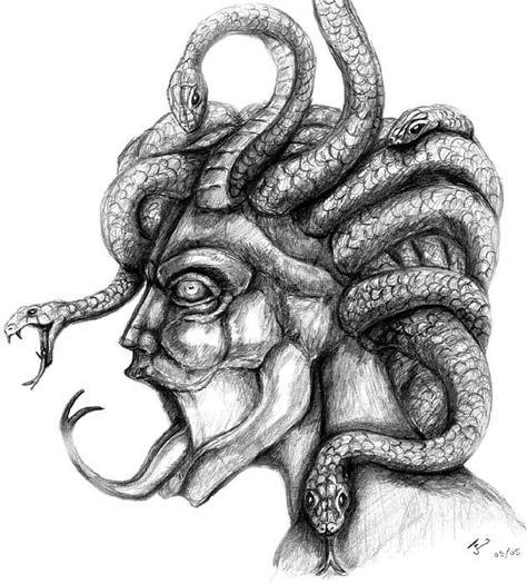 Gorgon Medusa Drawing, Greek Monsters, Medusa Tattoo Design, Medusa Art, Medusa Tattoo, Snake Art, Mythological Creatures, Sci Fi Art, Nautilus