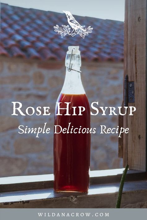 Rose Hip Recipes Food, Rose Hip Jam, Rose Hips Uses, Rose Hip Jam Recipes, What To Do With Rose Hips, Rosehip Tea How To Make, Rose Hip Syrup Recipe, Rose Hip Recipes, Rosehip Syrup Recipe