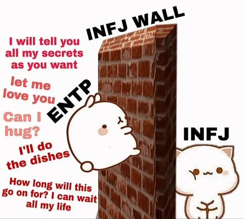 Entp X Infj Love, Entp X Infj Memes, Infj Entp Ship, Infj X Entp, Entp X Infj, Entp Infj, Infj Relationships, Infj And Entp, Entp And Intj