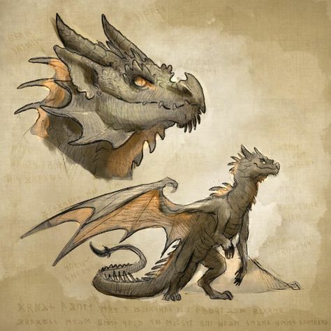 Dragon Species, Blender Ideas, Creature Inspiration, Creature Ideas, Creature Fantasy, Mythical Beasts, Mythical Monsters, Wings Of Fire Dragons, Dragon Sketch