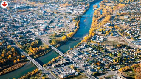 Red Deer is located on the Red Deer River, from which it derives its name. Facts About Red Deer. Red deer is 855 m above sea level. On March 25, 1913, Red Deer was incorporated as a city Red Deer Alberta, Magical Sky, 10 Interesting Facts, Canada Destinations, Red Deer, American Cities, Alberta Canada, Aerial View, British Columbia