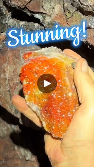 545K views · 12K reactions | 💥 ABSOLUTELY AMAZING VANADANITE CRYSTALS found digging in private area 100ft underground at the NORTH GERONIMO MINE owned by RED CLOUD MINE 💥 | The Crystal Collector | The Crystal Collector · Original audio Geode Decor, Cloud Mining, Red Cloud, The Collector, Audio, Crystals, The Originals, Red