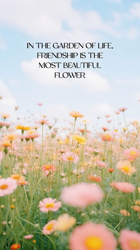 Friendship Flower, Facebook Story, Daisy Garden, Friendship Quote, Happy Life Quotes, About Friendship, Happy Books, Quote Template, Flower Daisy