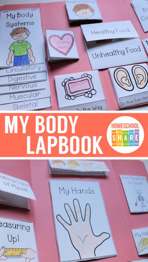 Human Body Lapbook Free, My Body Lesson Plan, Hokey Pokey Song, Human Body Lapbook, Human Body Crafts, Human Body Lesson, Human Body Projects, My Five Senses, Body Preschool