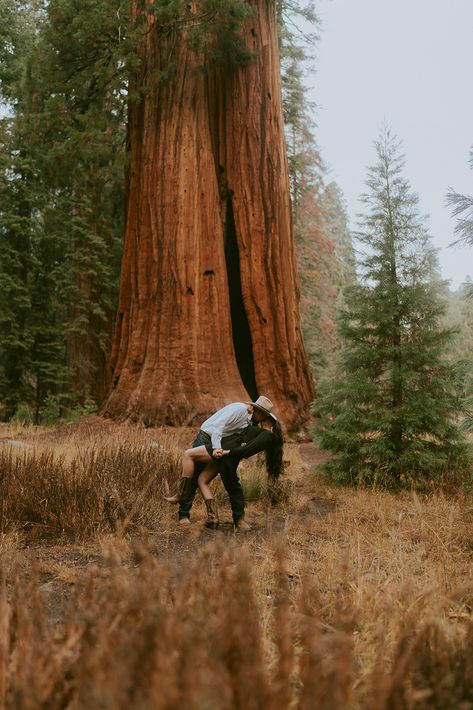 Capturing Love in the woods: A Sequoia National Park Engagement Photoshoot — Josh Mac Wedding & Boudoir Photographer Sequoia Engagement Photos, Sequoia National Park Engagement Photos, Sequoia Photo Ideas, Sequoia National Park Wedding, Sequoia National Park Photography, Daniel Boone National Forest, Forest Engagement Photos, Forest Engagement, National Parks Photography