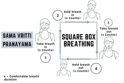 Box Breathing Benefits, Square Breathing, Box Breathing, Pranayama Techniques, Gyan Mudra, Autonomic Nervous System, Lower Abdomen, Deep Breathing Exercises, Body Organs