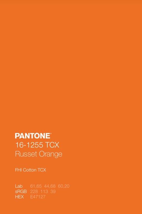 Tangerine Colour Palette, Papaya Color Palette, Pantone Wallpaper, Color Palette Orange, Orange Branding, Free Adobe Illustrator, Orange Color Code, Orange Pantone, Pantone Orange