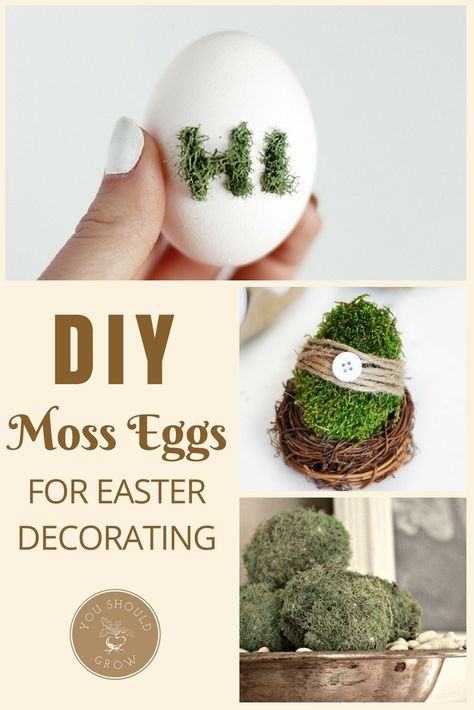 Easter Decor Ideas: make moss eggs! How cute! Moss Decor | Farmhouse Style