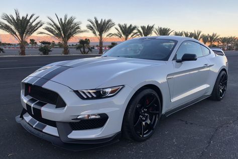 2016 Ford Mustang Shelby GT350R (Avalanche Gray, 5.2L "Voodoo" V8, 6-speed) White Ford Mustang Gt, 2017 Ford Mustang Gt, Ford Mustang Gt 2022, Gray Mustang, Ford Mustang 5.0 V8 Gt, V8 Car, Mustang Car Aesthetic, 2011 Mustang Gt 5.0, Shelby Gt350r