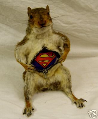 anthro taxidermy Taxidermy Fails, Old Inventions, Barn Man Cave, Funny Taxidermy, Weird Taxidermy, Bad Taxidermy, Culture Sculpture, Deer Pics, Fantasy Friends