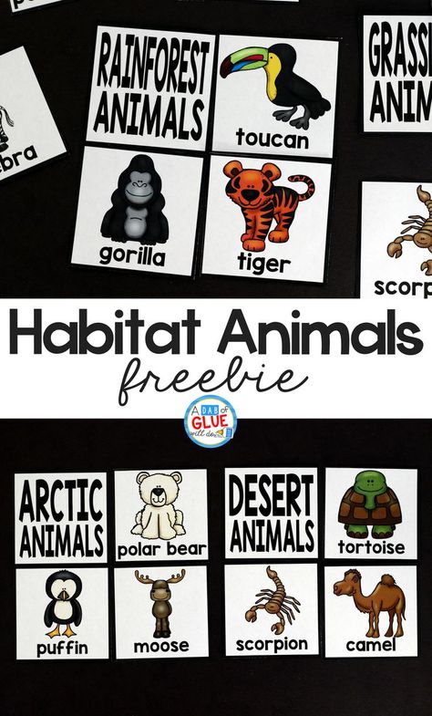 Habitat Activities, Puzzles Printable, Animal Lessons, 1st Grade Science, First Grade Science, Science Lesson, Science Lesson Plans, Kindergarten Lesson Plans, Printable Puzzles