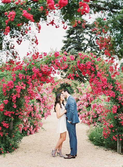 Rose Garden Photoshoot, Fall Wedding Pictures, Engagement Roses, Field Engagement Photos, Fine Art Film Photography, Fine Art Wedding Photographer, Film Photographers, Rose Garden, Engagement Photoshoot