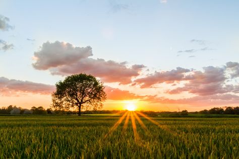 All Colours (Explore #35) | by Fabian F_ This picture is like the definition of spring to me... Have a great day :) Simple Landscape, Radha Krishna Art, Visual Inspiration, Setting Sun, Krishna Art, The Glow, Heart Wallpaper, Have A Great Day, Beautiful Landscapes