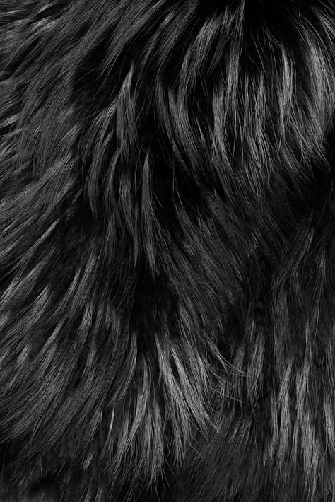 Black Fur Aesthetic, Fur Aesthetic, Fur Bolero, Fur Pattern, Fur Texture, Grey Fox, Texture Photography, Desenho Tattoo, White Texture