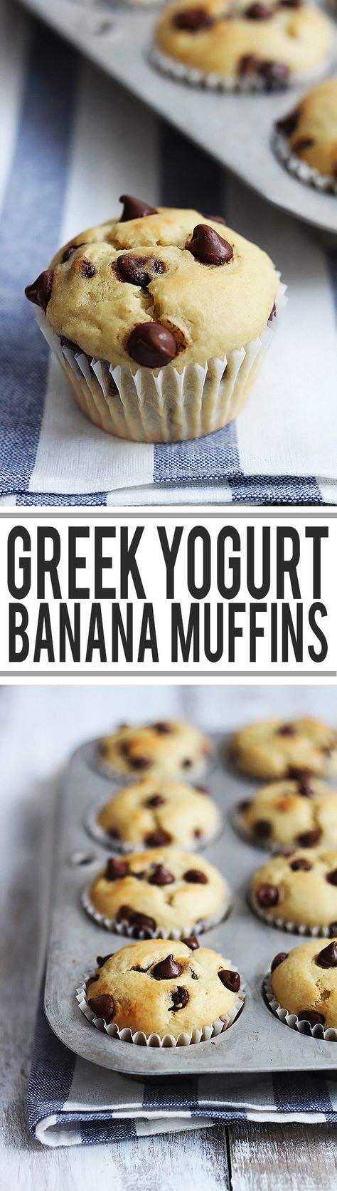 everyone in the family loved these. Added a little protein powder too. Super moist- I liked them better in the mini muffin size Banana Greek Yogurt Muffins, Greek Yogurt Banana Muffins, Banana Greek Yogurt, Yogurt Chocolate, Greek Yogurt Muffins, Chocolate Chip Muffin, Muffins Easy, Yogurt Muffins, Chocolate Homemade