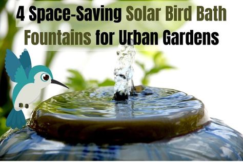 small bird bath fountain Small Bird Bath, Solar Bird Bath, Solar Landscape Lighting, Diy Bird Bath, Solar Landscape, Diy Garden Fountains, Urban Gardens, Bird Bath Fountain, Container Ideas