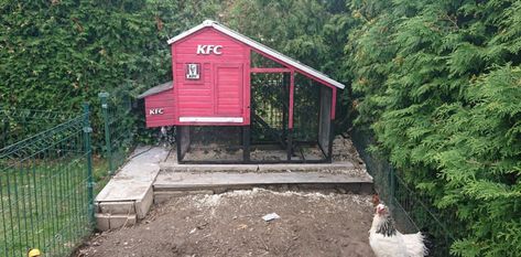 KFC-Inspired Chicken Coops Go Viral | 12 Tomatoes Kfc Chicken Coop, Inside Chicken Coop, Kfc Restaurant, Chicken Coop Pallets, Chicken Coop Decor, Chicken Home, Backyard Chicken Coop Plans, Diy Chicken Coop Plans, Kfc Chicken