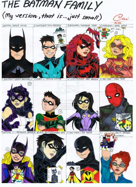 Bat family The Flying Graysons, Bette Kane, Flying Graysons, Bat Family Members, Tightrope Walking, Dc Batgirl, Batman Funny, Batman Universe, Dc Memes