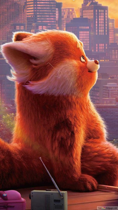 Turning Red Wallpaper, Red Panda Cartoon, Anime Disney, Wallpaper Disney, Turning Red, Disney Art Drawings, Disney Collage, Cool Backgrounds Wallpapers, Cute Cartoon Pictures