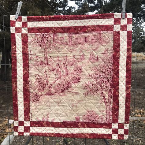 Split Rail Fence, Sea Quilt, Cheese And Crackers, Medallion Quilt, Rail Fence, Toile Fabric, My Sewing Room, Panel Quilts, House Built