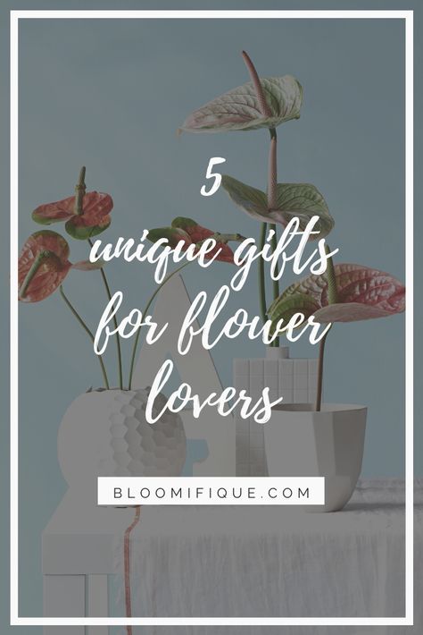 5 unique gifts for flower lovers | Bloomifique | gift, idea, anthurium, flower, flowers, #gift #giftidea #anthurium #flowers Gifts For Flower Lovers, Turquoise Shower Curtain, Light Bulb Vase, Anthurium Plant, Savage Garden, Anthurium Flower, Flower Shower, Floral Shower Curtains, Flowers Gift