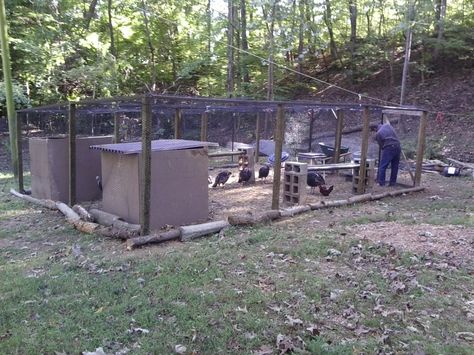 turkey pen Turkey Pen Ideas, Turkey Pen, Turkey Coop, Chicken Pens, Turkey Farm, Chicken Pen, Coop Ideas, Homestead Farm, The Barnyard